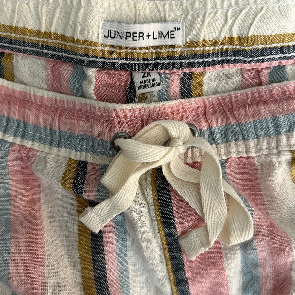Juniper + Lime Womens 2X Striped Shorts
